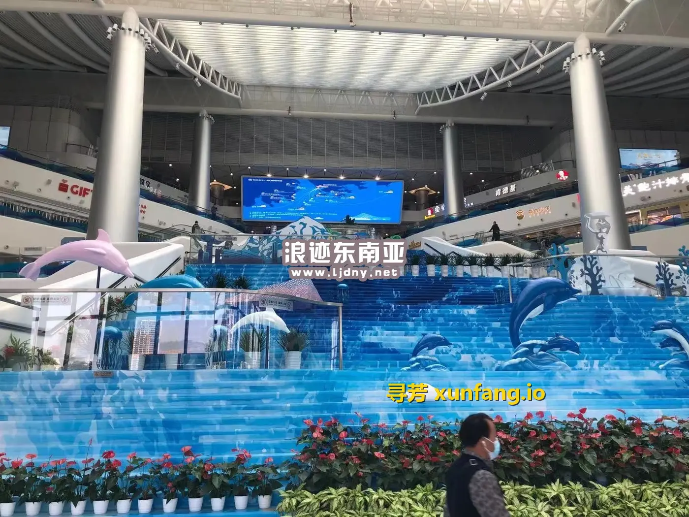 疫情之下入境越南体验