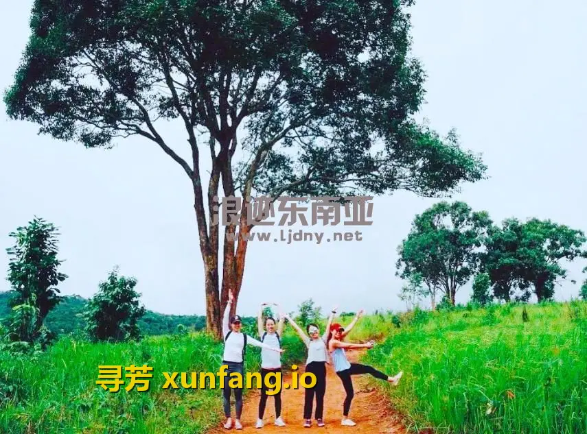 曼谷的后花园–考艾，度假，邂逅浪漫的绝佳好地方现场